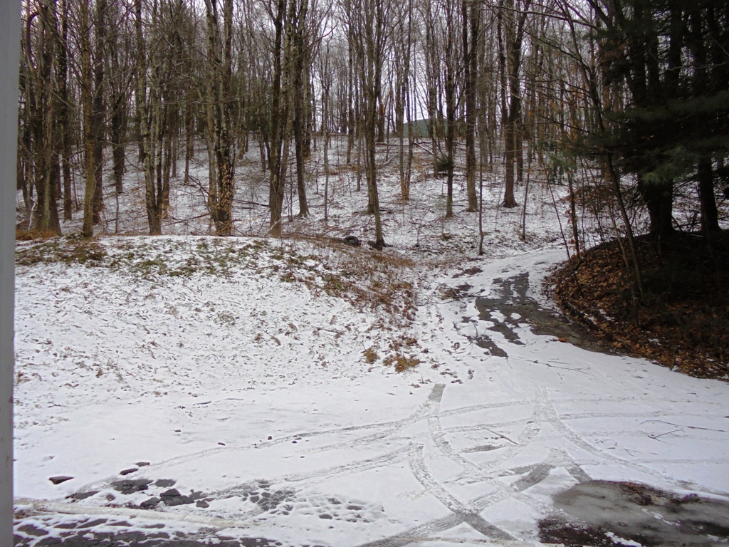 Loch Sheldrake W/Lake Views (1195)