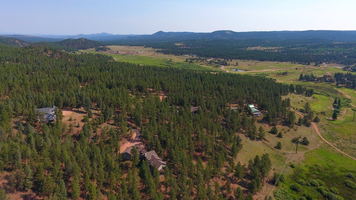 Woodland Park Woodleaf Realty