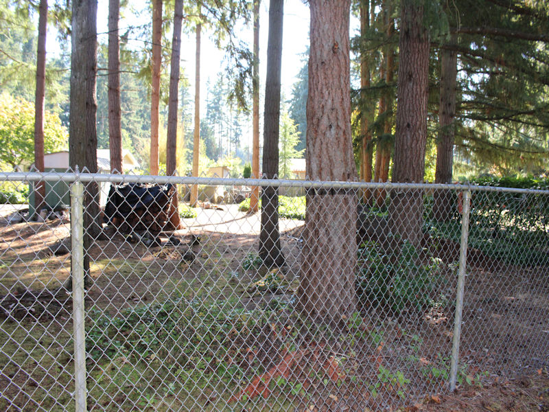 Backyard home for sale in Sumner