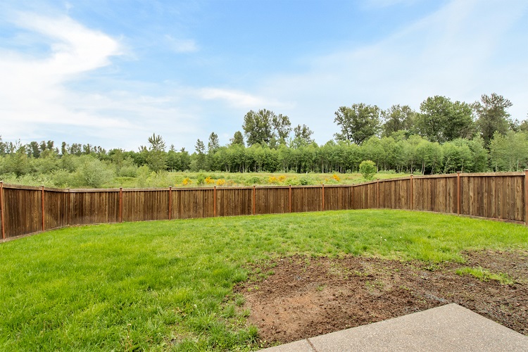 Backyard home for sale in Sumner