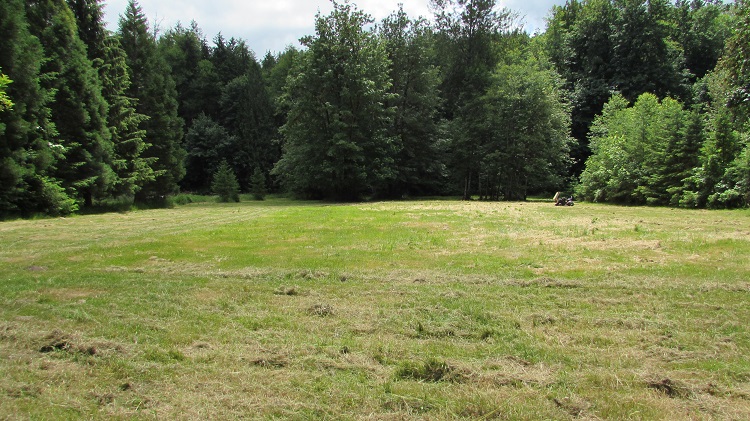 Front yard of Home for sale in Sumner WA