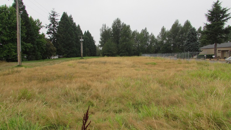 Front yard of Home for sale in Sumner WA