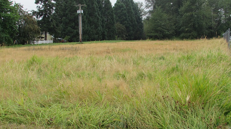 Backyard home for sale in Sumner