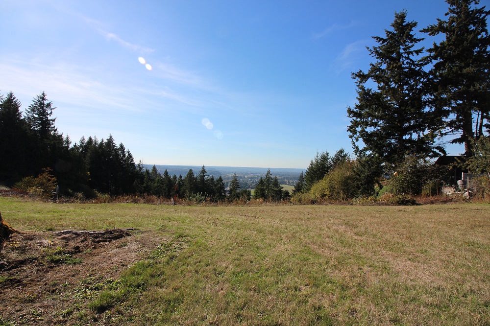 Backyard home for sale in Sumner