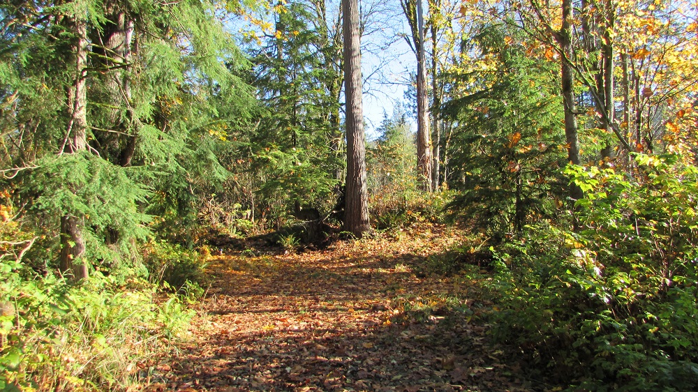 Backyard home for sale in Sumner