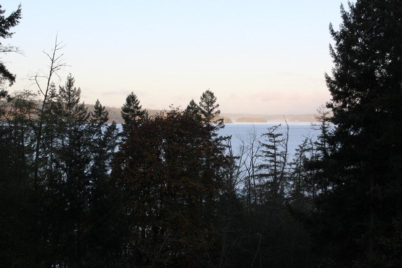 Backyard home for sale in Sumner