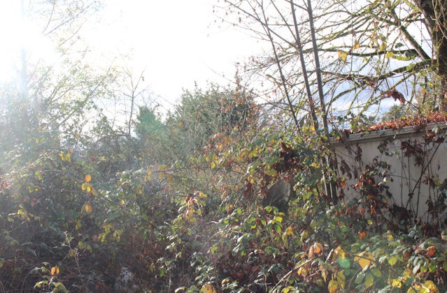 Backyard home for sale in Sumner