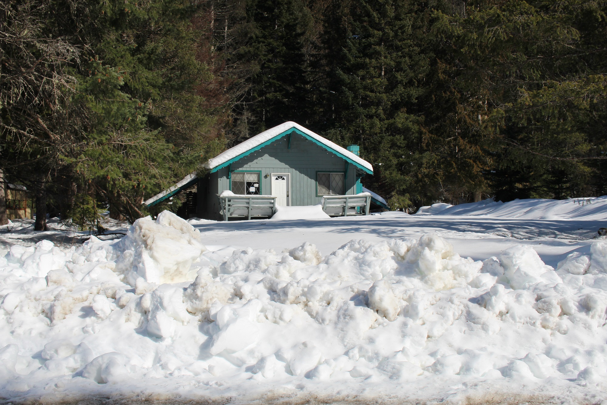Backyard home for sale in Sumner