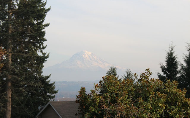 Front yard of Home for sale in Sumner WA