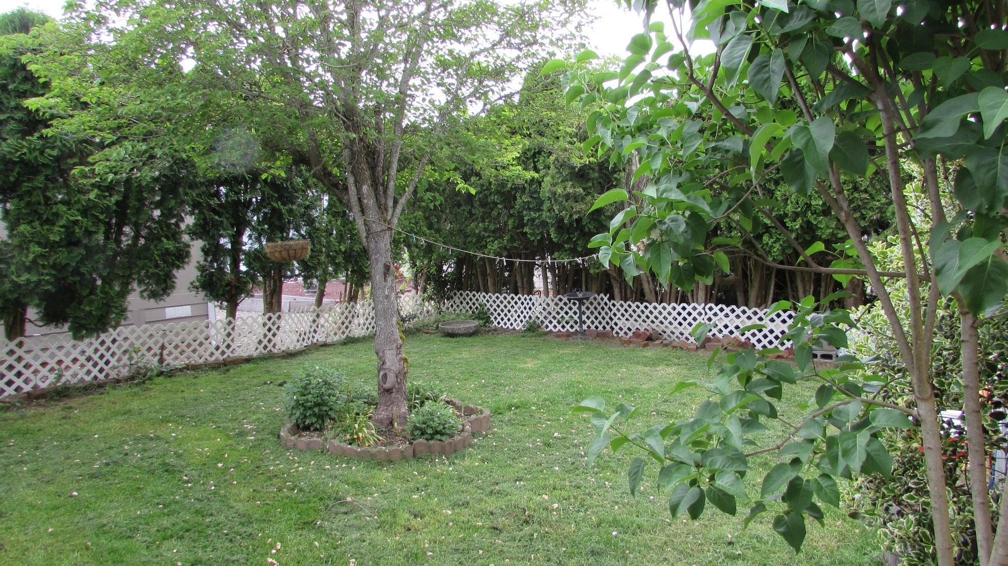 Backyard home for sale in Sumner