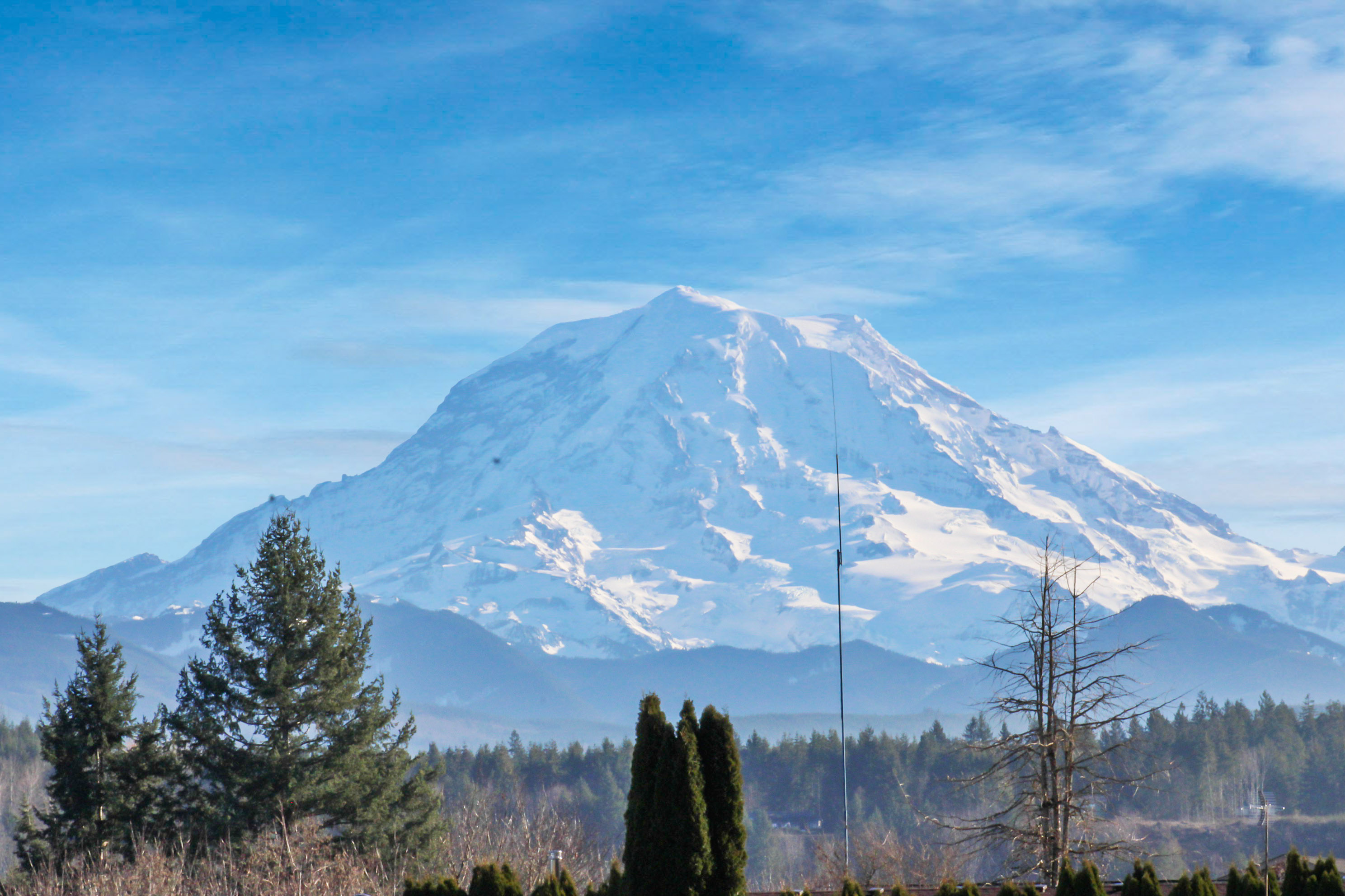 Backyard home for sale in Sumner