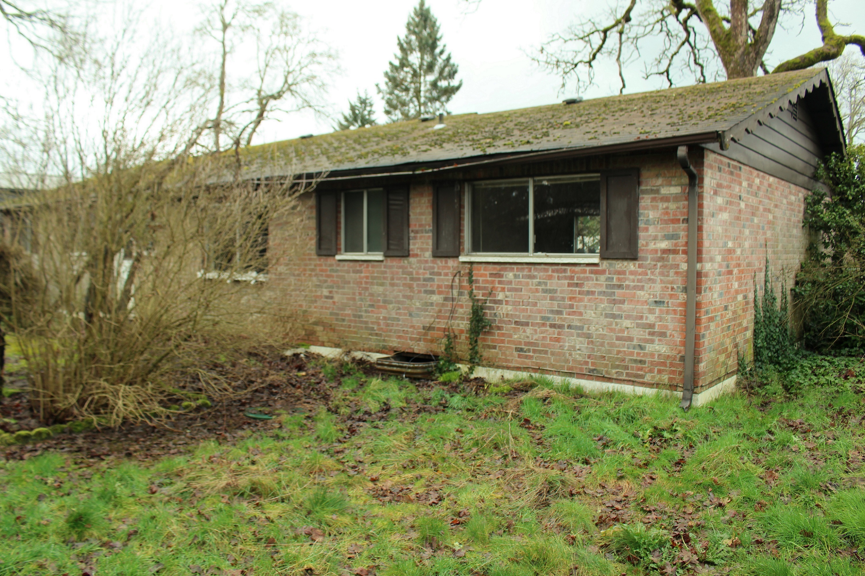 Backyard home for sale in Sumner