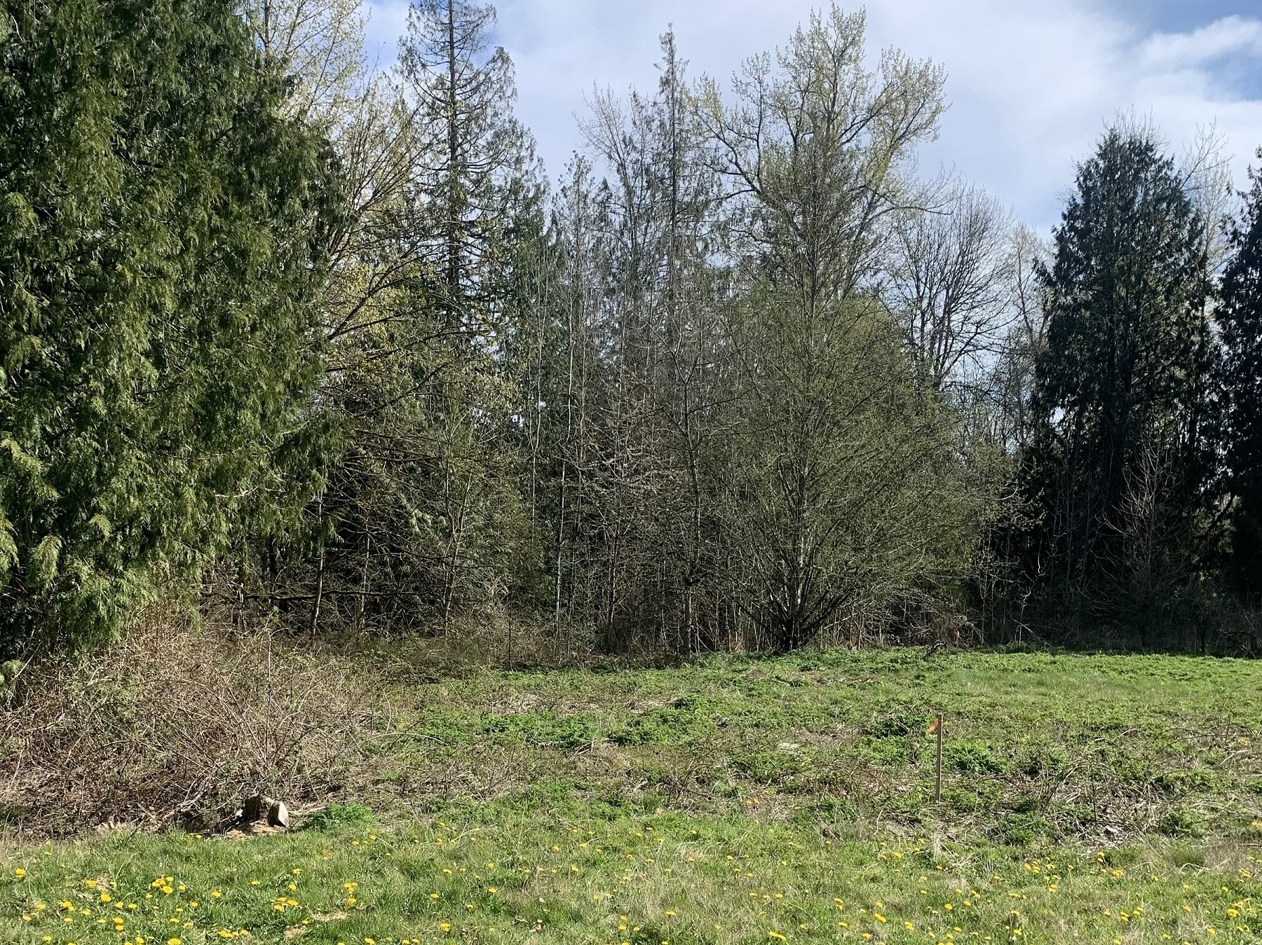 Front yard of Home for sale in Sumner WA