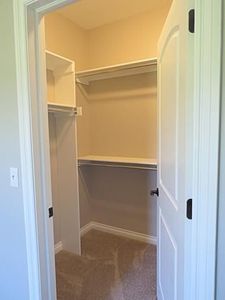 3920-timber-green-2nd-bedroom-walkin-closet-copy