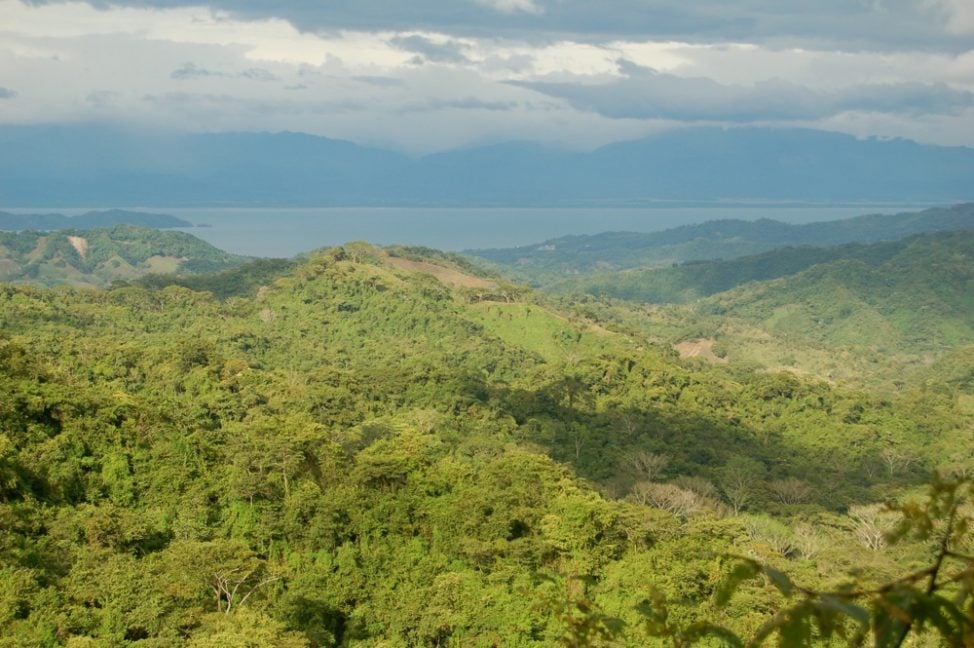 Five National Parks and Wildlife Refuges on the Nicoya Peninsula