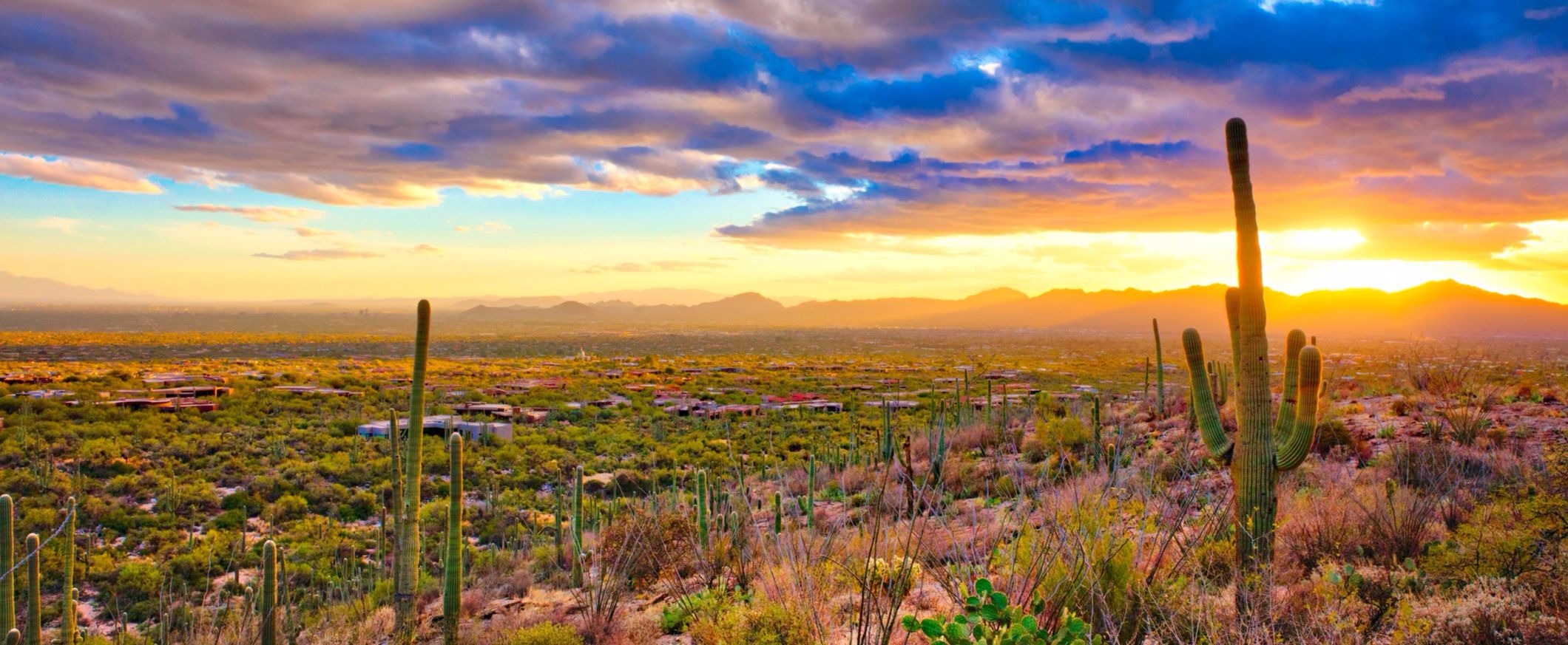 homes for sale in catalina az