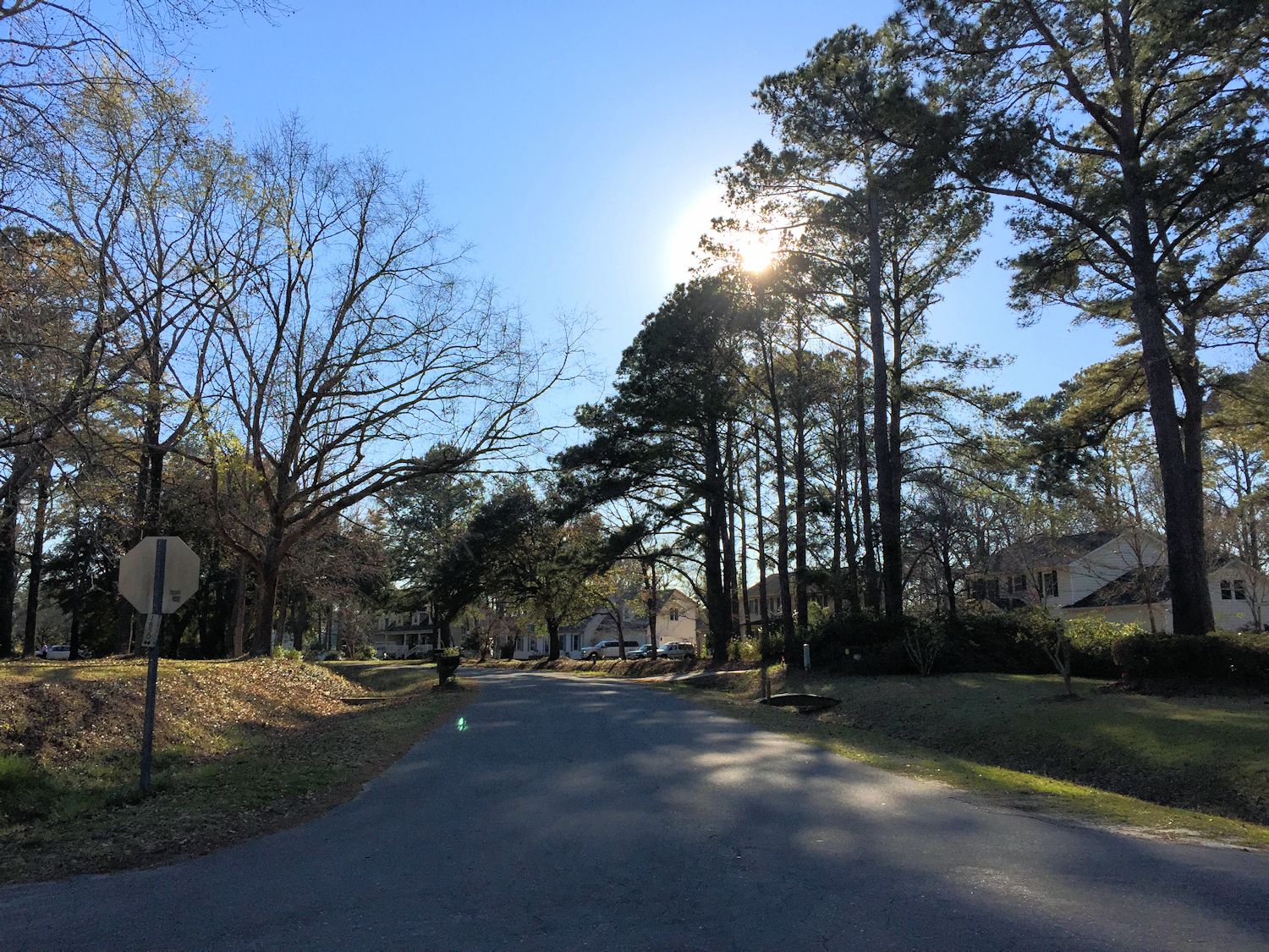 Bayshore Estates Street The Cameron Team