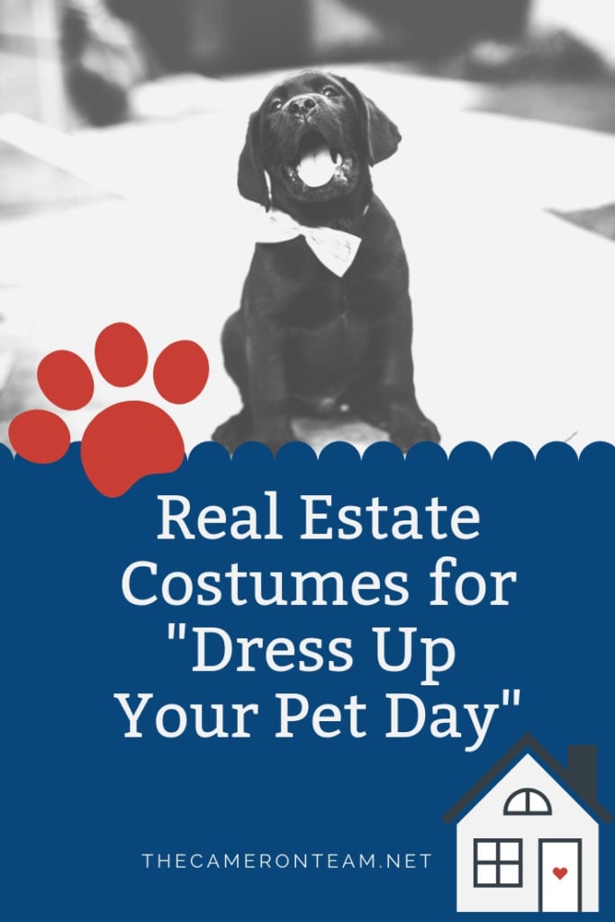 Real Estate Pet Costumes for Dress Up Your Pet Day