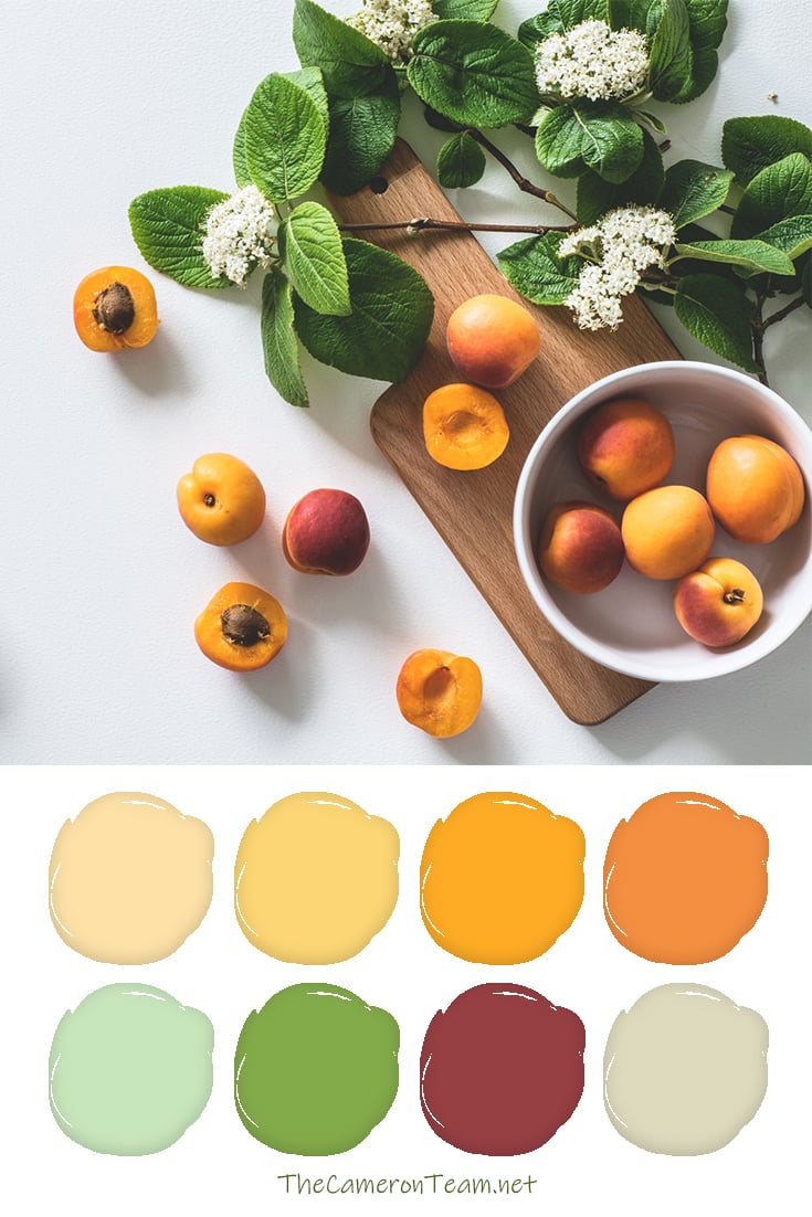 Apricot Paint Color Palette - The Cameron Team - The Cameron Team