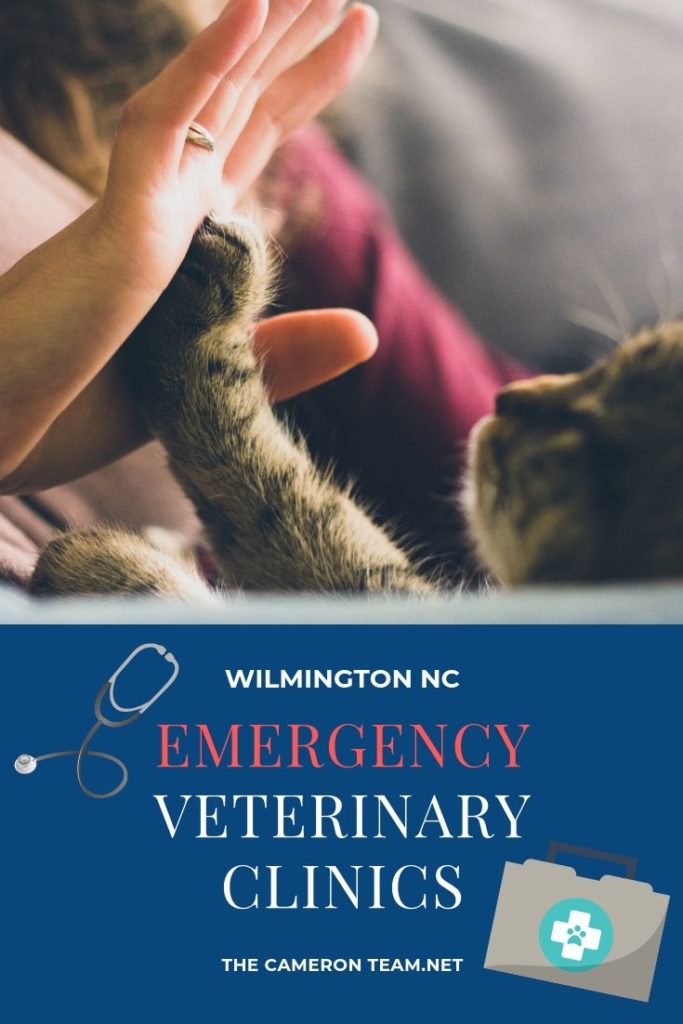 Wilmington NC Emergency Veterinary Clinics