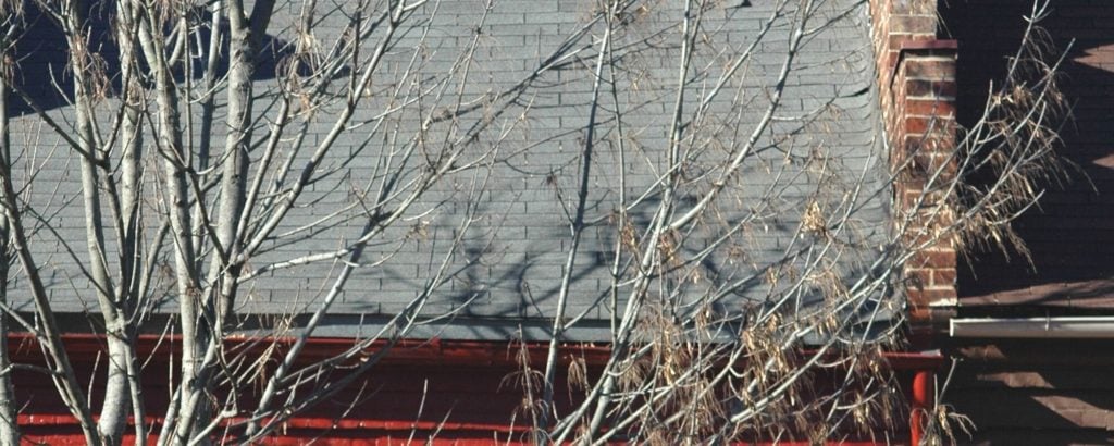 Bare Tree Outside Home