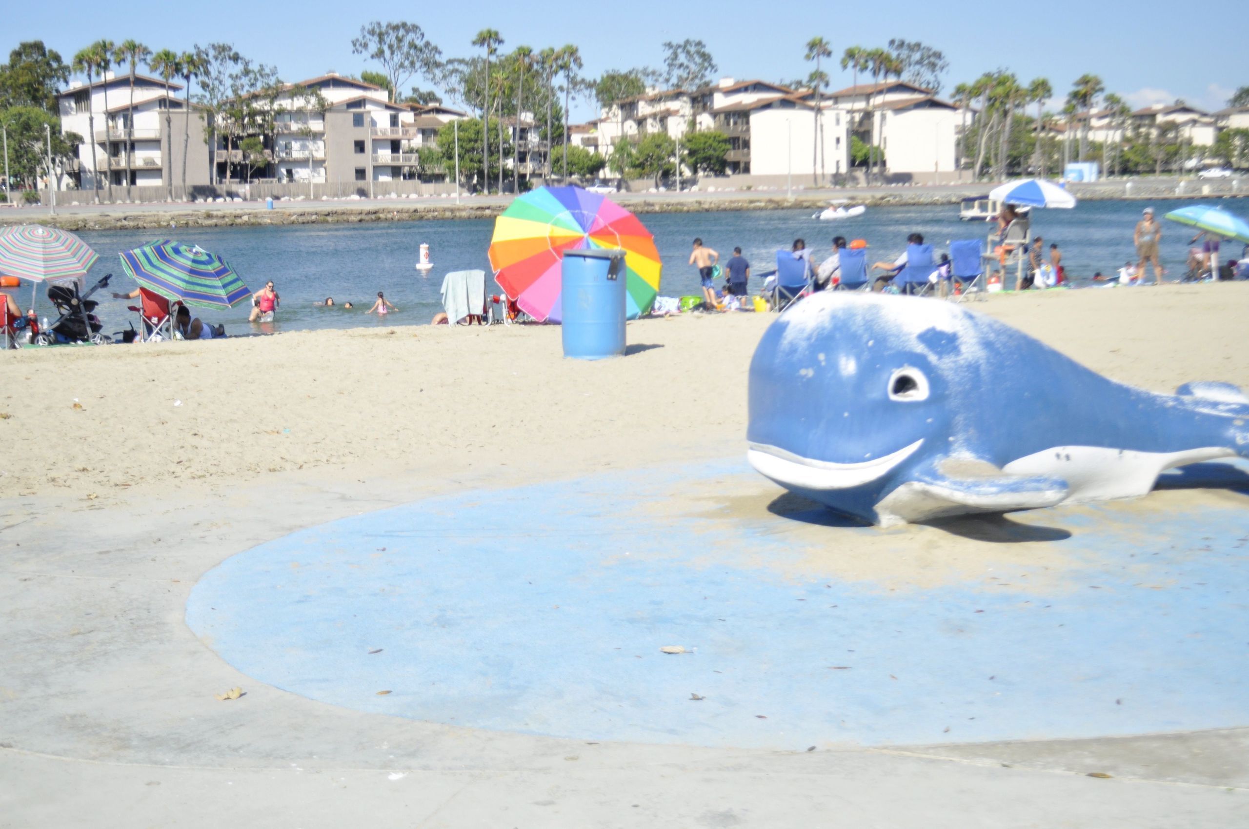 Fun Free Activities In Long Beach Showmehome Free Activities In Long Beach