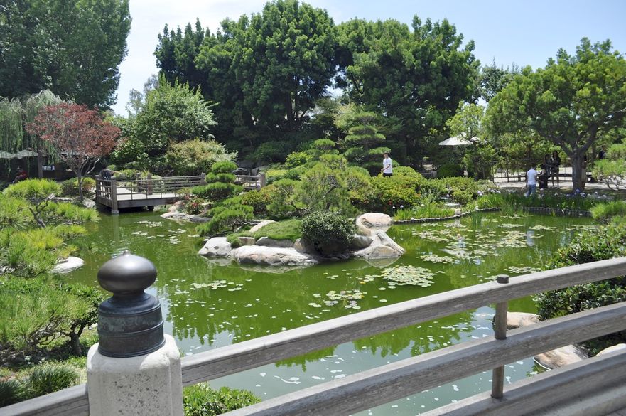 Explore Earl Burns Miller Japanese Garden Showmehome Com