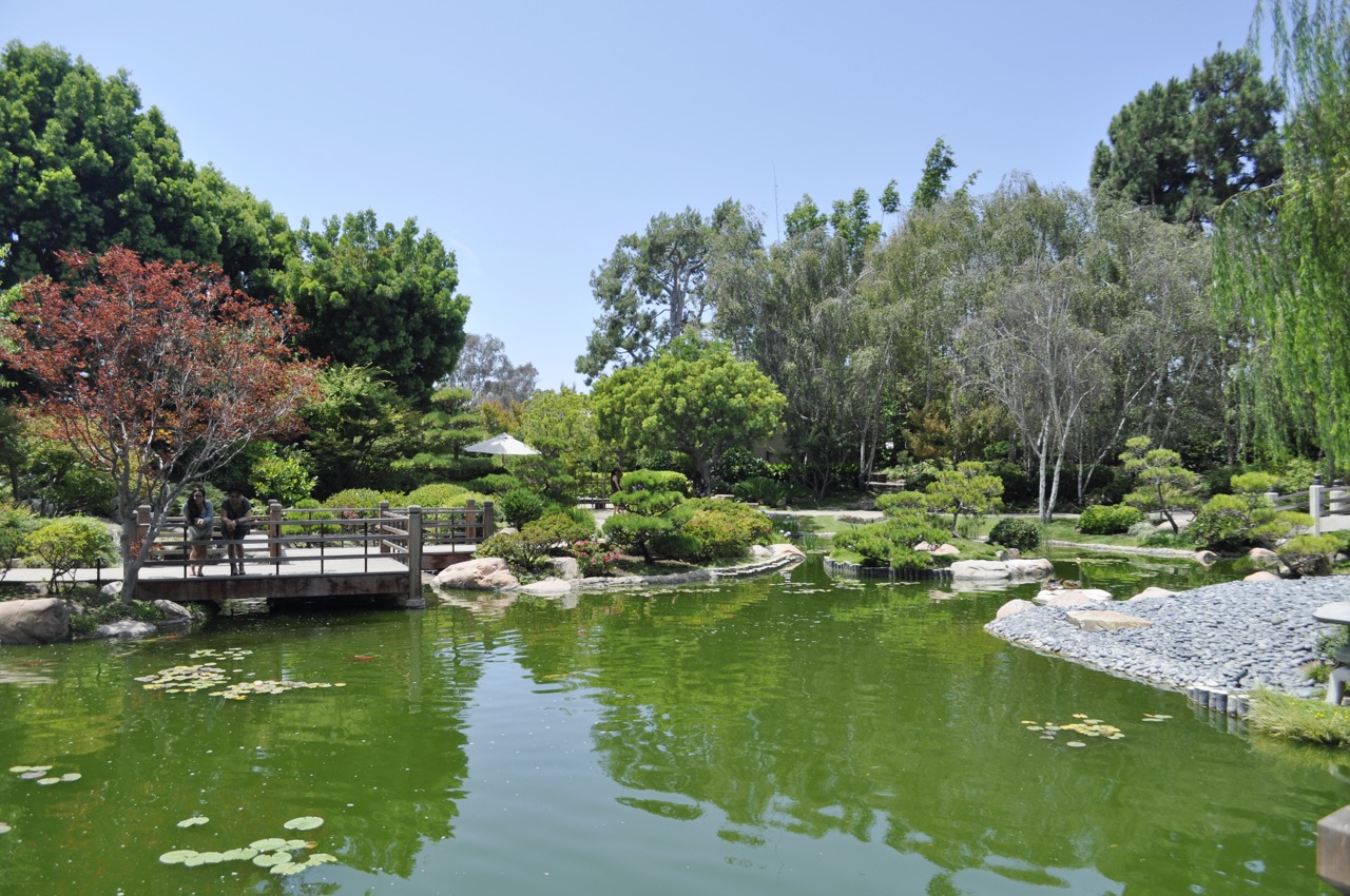 Japanese Garden At Csulb Showmehome Com