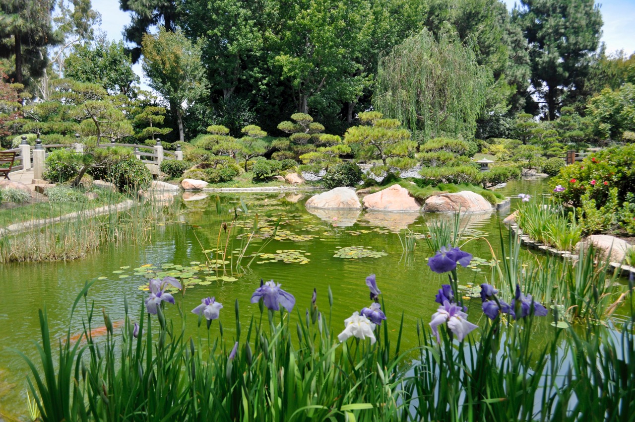 Japanese Garden At Csulb Showmehome Com