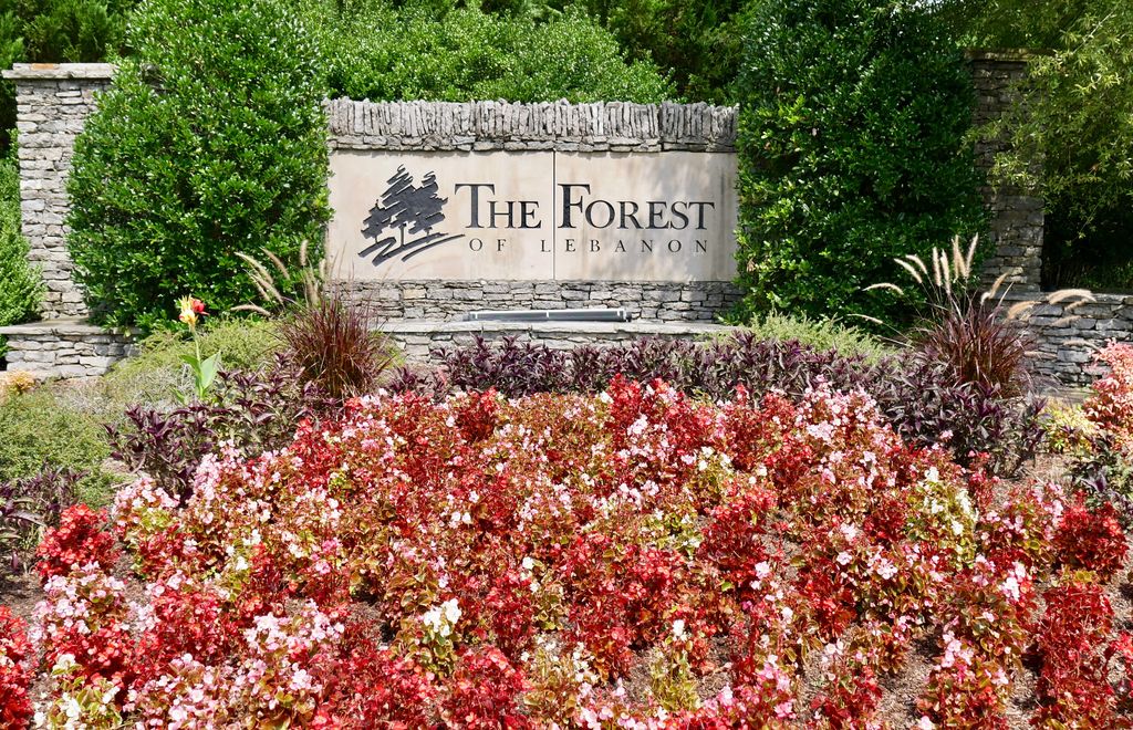 The Forest of Lebanon The Right Way Group