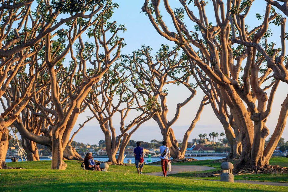 Clairemont/BayPark/Kearny Mesa Great Homes In San Diego