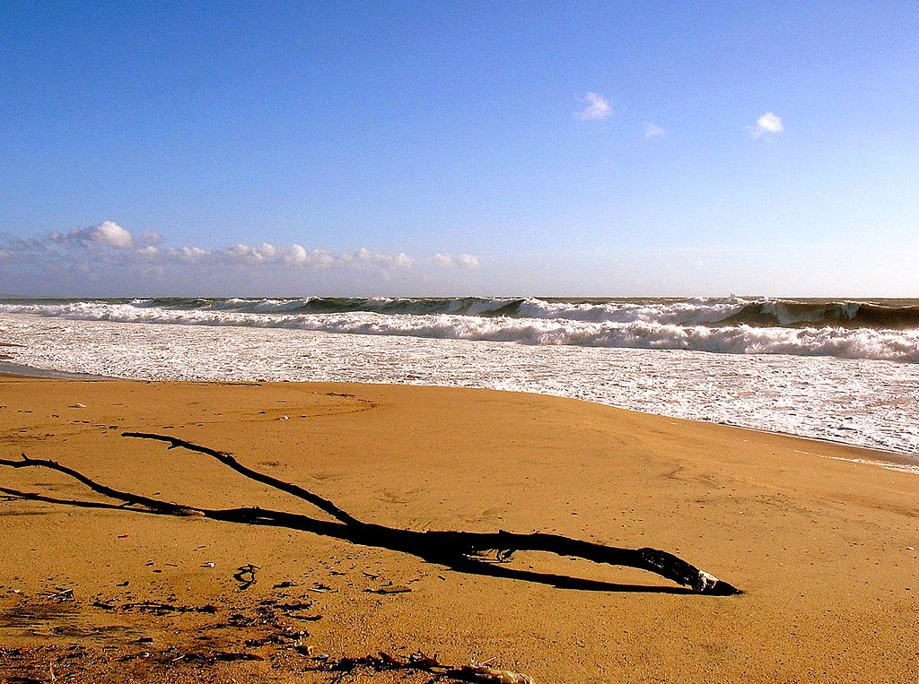 Playa Del Rey - Fisher Real Estate