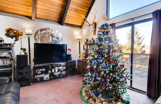 565-elk-valley-drive-evergreen-small-005-15-living-room-666&#215;443-72dpi