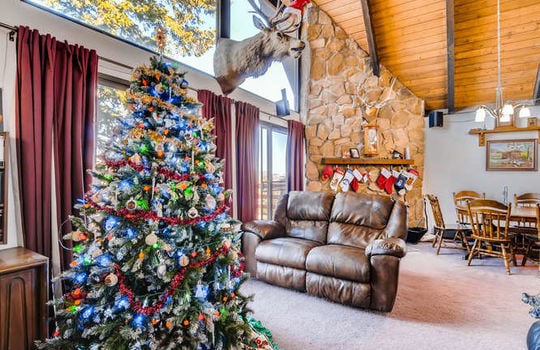 565-elk-valley-drive-evergreen-small-006-2-living-room-666&#215;443-72dpi
