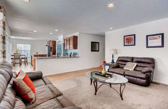21612 E 55th Ave Denver CO-small-012-12-Family Room-666&#215;444-72dpi