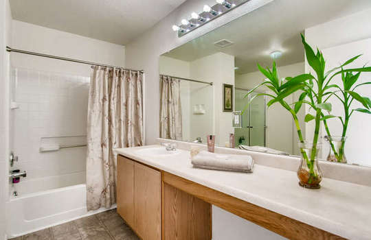 21612 E 55th Ave Denver CO-small-016-13-2nd Floor Master Bathroom-666&#215;444-72dpi