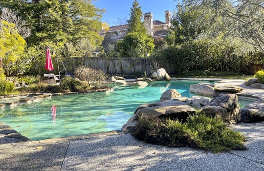 Backyard Pool
