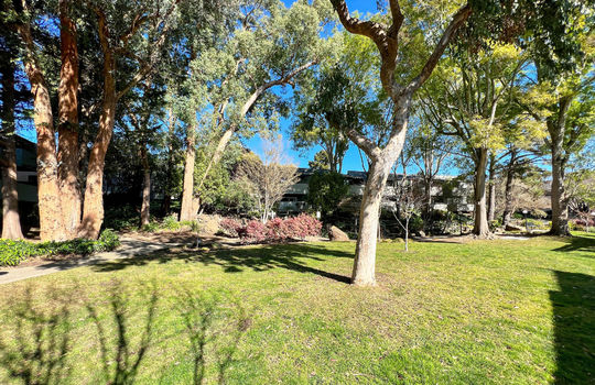 communitypark-1
