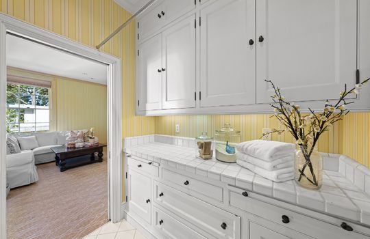 60-web-or-mls-ONA04255