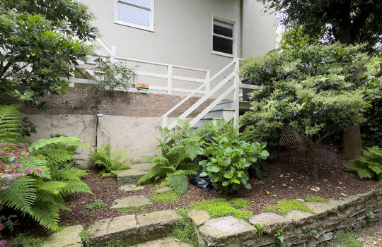 Backyard2