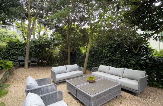 Backyard3