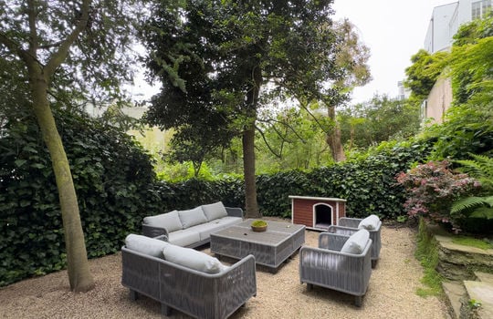 Backyard7