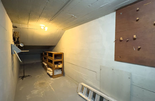 basementstorage27