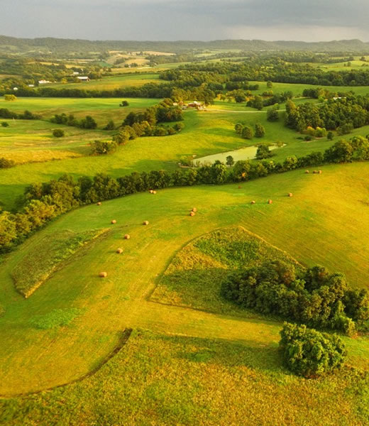 Boyle County - bluegrassteam