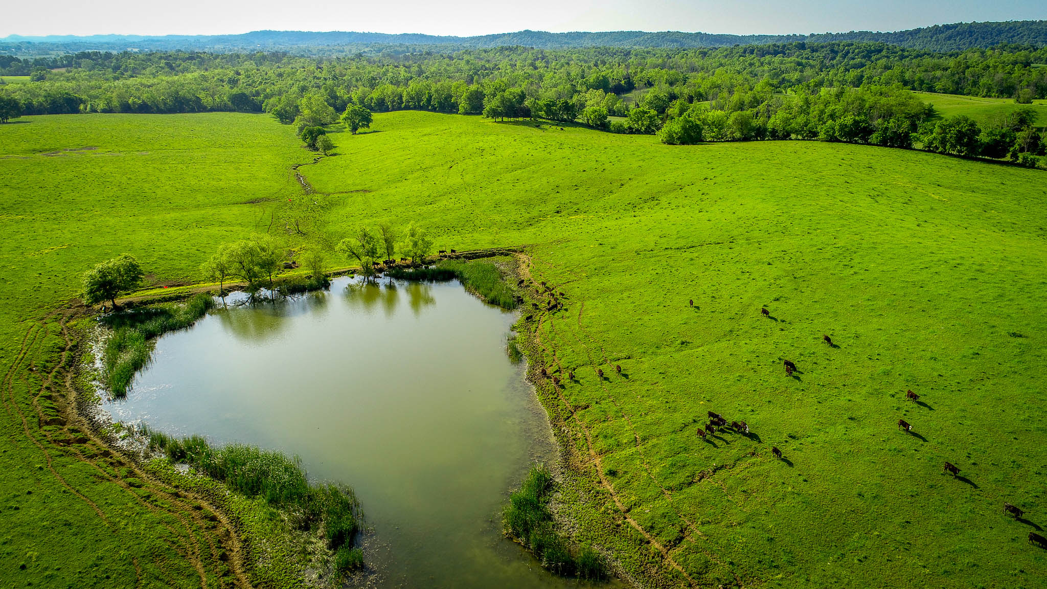 109 acres, Pond, Live water Creek, Woods. Land for sale in ...