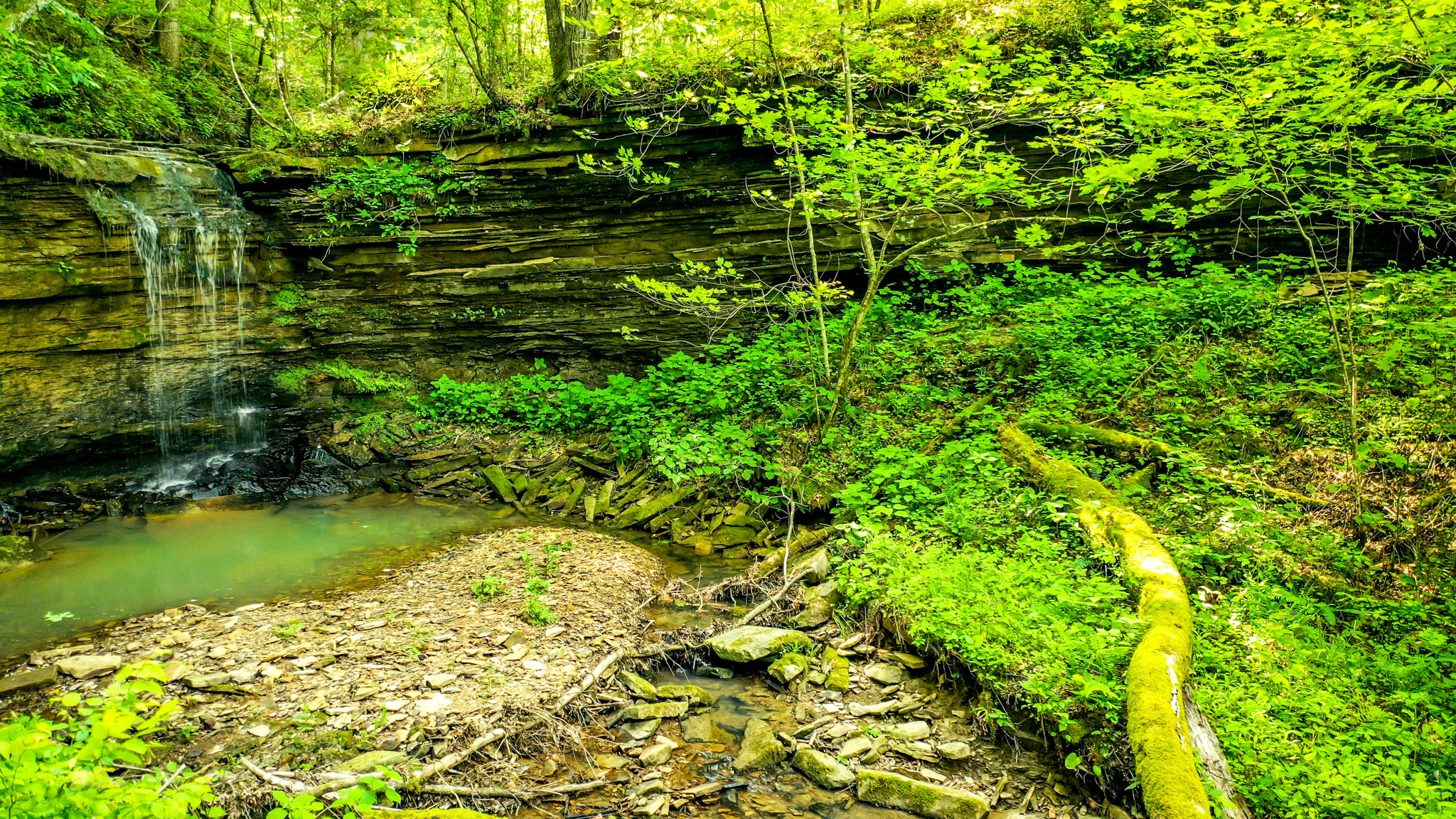 Waterfall Property for sale in the Kentucky Mountains bluegrassteam