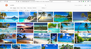 And this isMy Screen Shot of "Paradise' Search. Picture shows search pictures of palm trees.