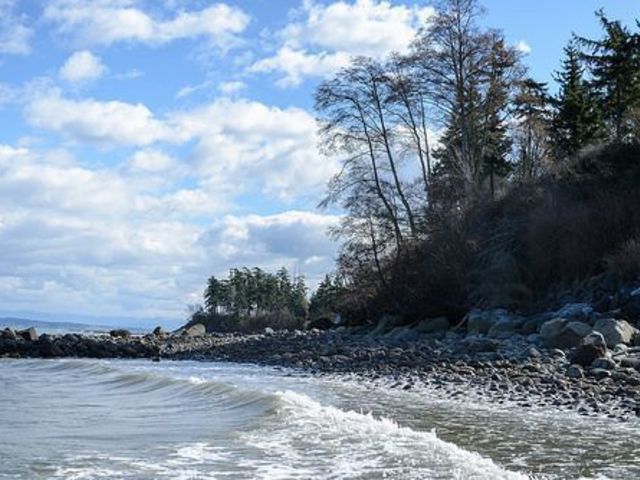Shoreline