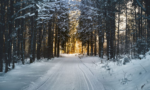 Winter is Coming